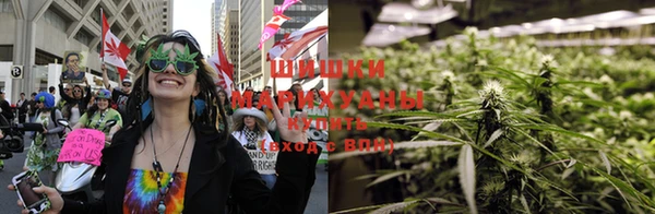 тгк Осинники