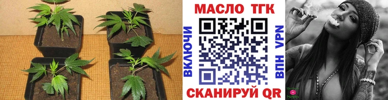ТГК вейп с тгк мега ссылки Суджа
